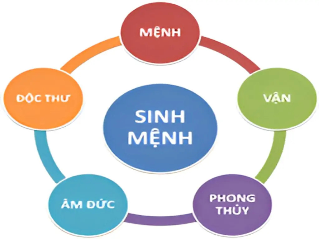 Nhất Vận, Nhì Mệnh, Tam Phong Thủy: Cải Vận Hay Chấp Nhận? 2 Sinh mệnh con người còn do nhiều yếu tố quyết định